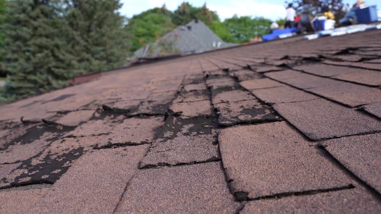 Best Sheet Metal Roofing  in Trabuco Nyon, CA